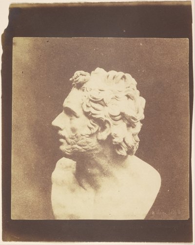 (Buste van Patroclus) door William Henry Fox Talbot